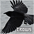 http://fan.after-death.org/crows